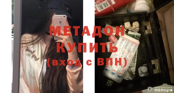 шишки Гусь-Хрустальный