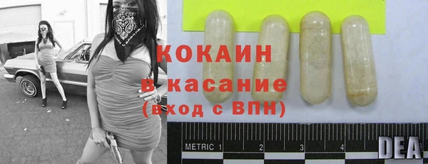 шишки Гусь-Хрустальный
