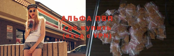 шишки Гусь-Хрустальный