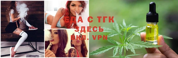 шишки Гусь-Хрустальный