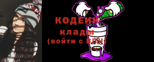 шишки Гусь-Хрустальный