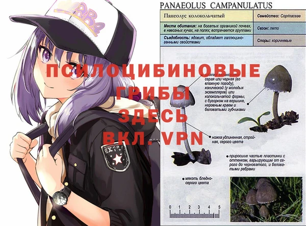 шишки Гусь-Хрустальный