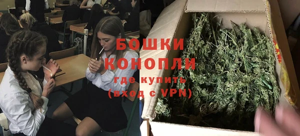 дживик Гусев