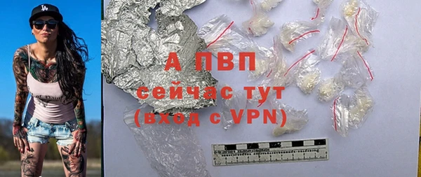 шишки Гусь-Хрустальный
