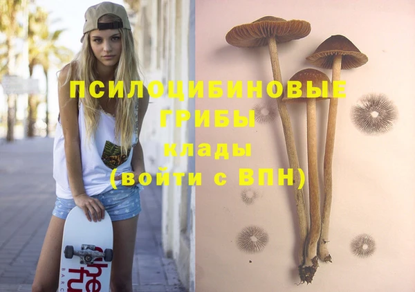 дживик Гусев