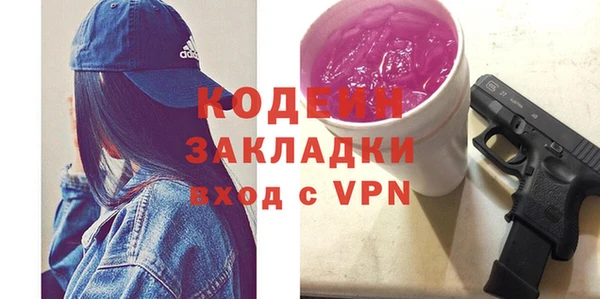 шишки Гусь-Хрустальный